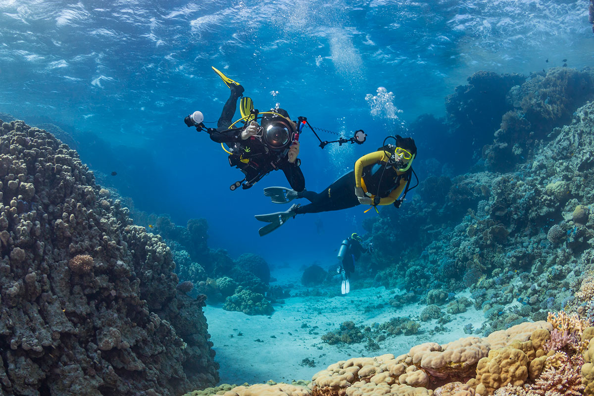 The Underwater Wonderland of Hurghada